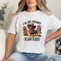 I've Got Friends In Low Shirt