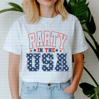 Party In The USA BELLA CANVAS WHOLESALE T-SHIRT PACKS