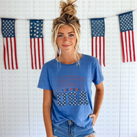 Party In The USA BELLA CANVAS WHOLESALE T-SHIRT PACKS