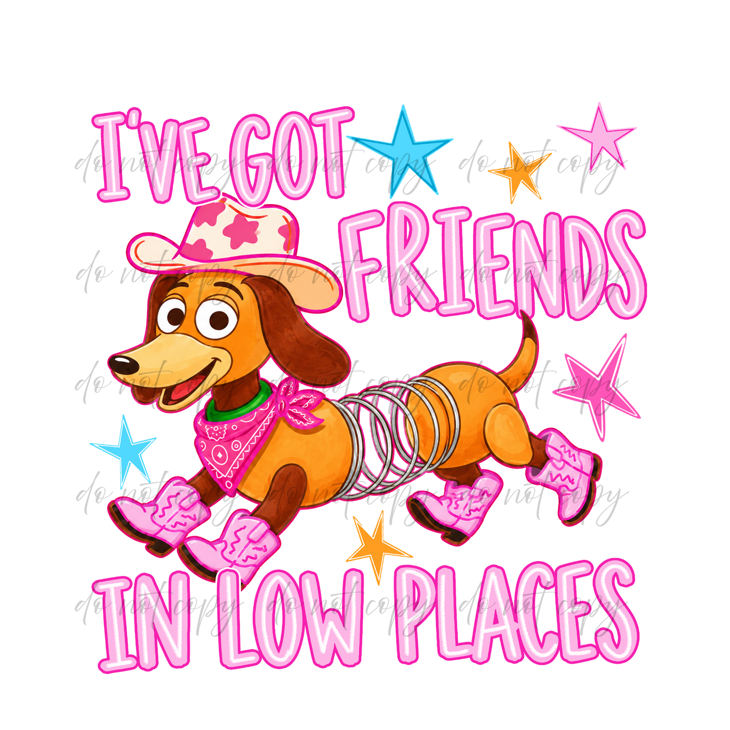 I've Got Friends In Low Places - 9 Color Direct-To-Film Transfer