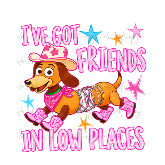 I've Got Friends In Low Places - 9 Color Direct-To-Film Transfer