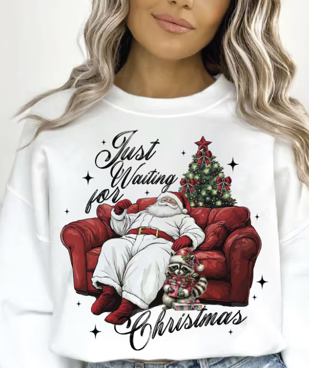 Just Waiting For Christmas Sweatshirt