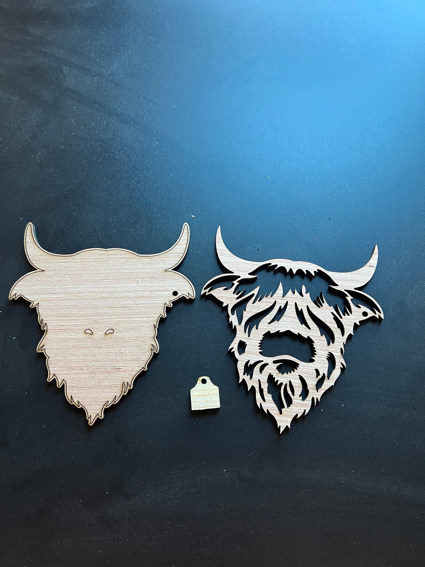 Highland Cow DIY Door/Wall Décor/Door Hanger KIT